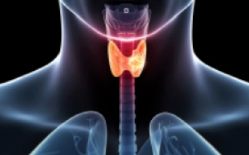 Prevention and Awareness - Thyroid
